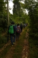 forestry-engineering-itb-2013-study-the-characteristics-of-upland-plant-in-tbmk