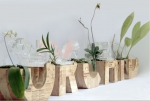 perkenalkan-anggrek-lewat-inovasi-pot-kayu-dengan-aplikasi-wood-typography
