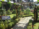 dibalik-keindahan-taman-toka