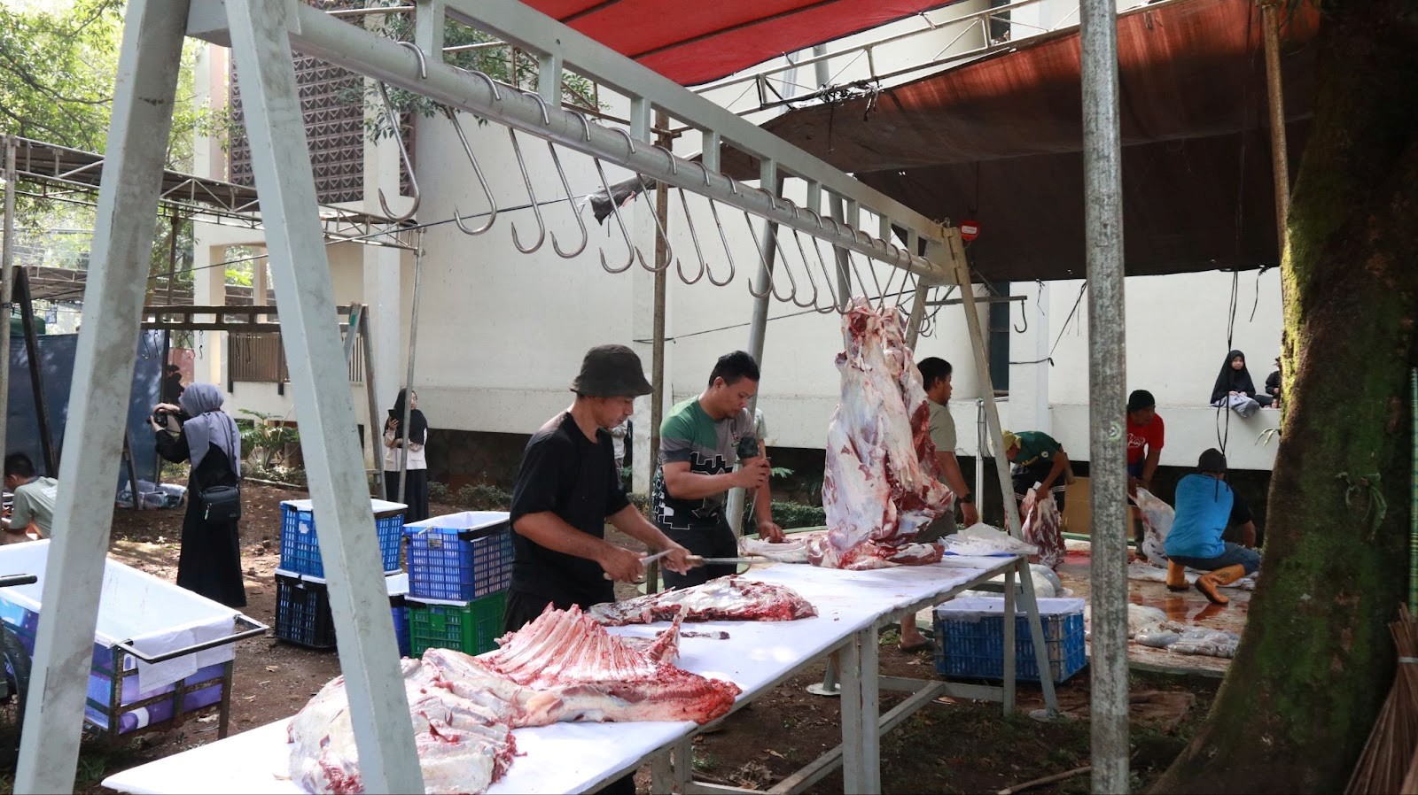 terapkan-zero-waste-management-salman-itb-salurkan-daging-kurban-iduladha-1446-h-untuk-1555-warga-kota-bandung