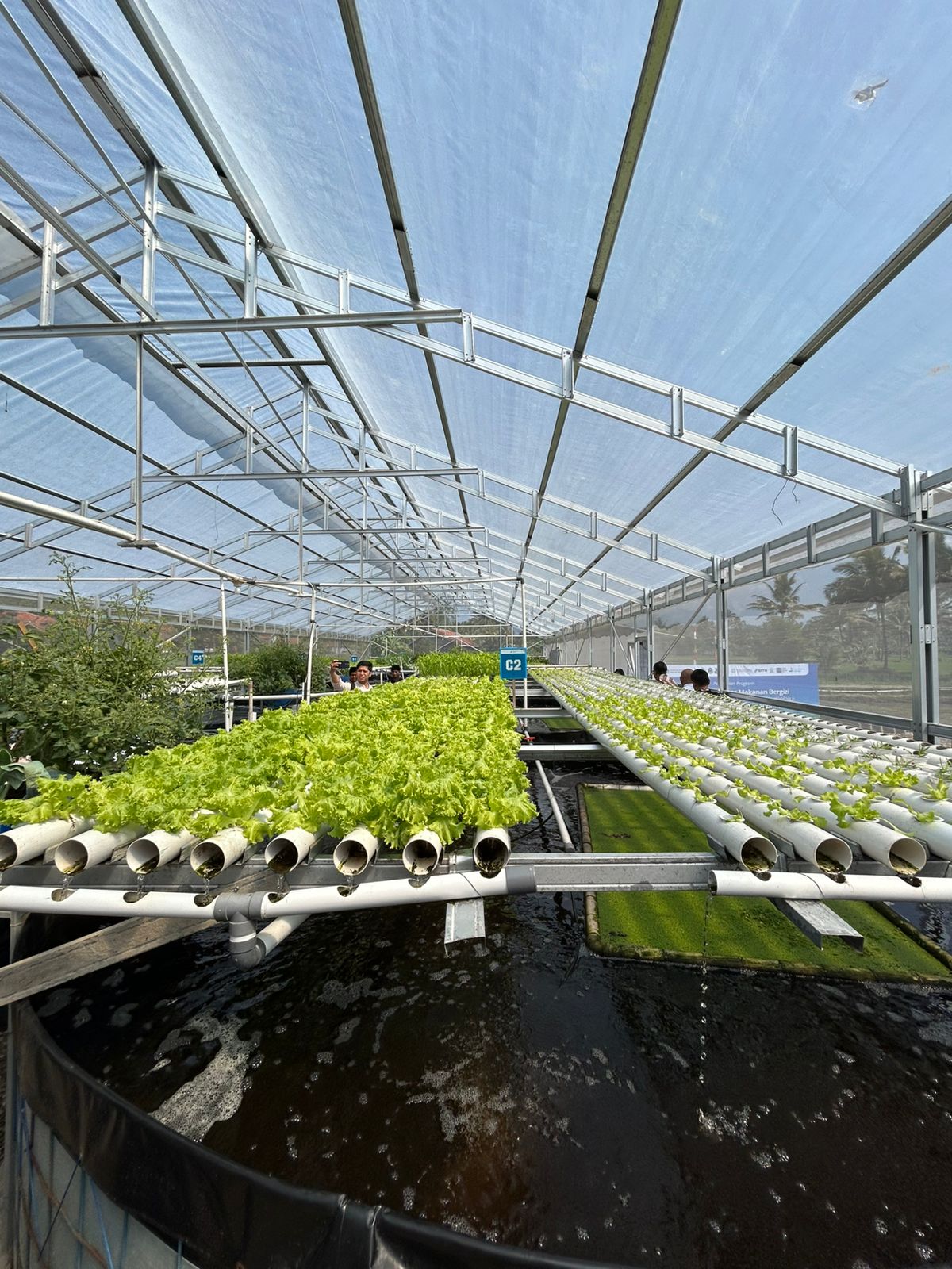 itb-west-java-provincial-government-and-rumah-amal-salman-collaborate-to-tackle-stunting-in-garut-through-tilapia-farming-and-aquaponics