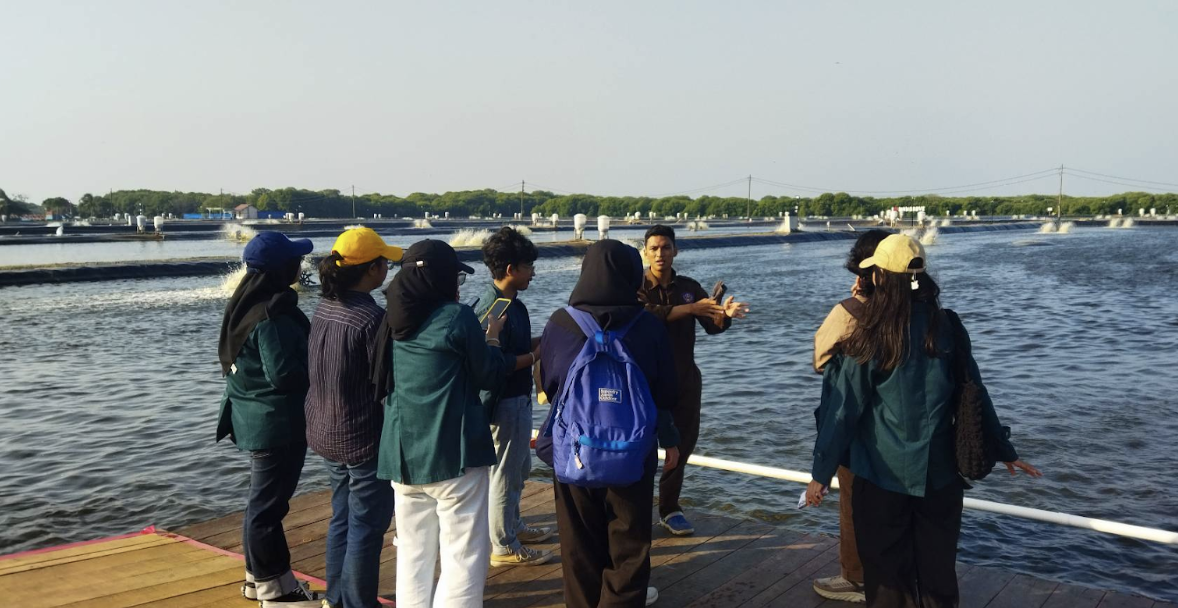 menuju-budi-daya-perikanan-berkelanjutan-pengalaman-mahasiswa-rekayasa-akuakultur-itb-di-bluppb-karawang